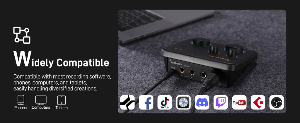 MAONO USB Audio Interface for PC,XLR Input 24-bit/192kHz Routing Software LOOPBACK ASIO for Recording Music,Guitar,DAW PS22 Lite