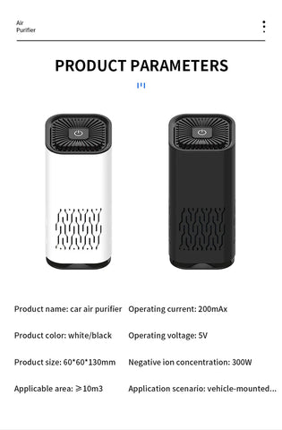 Pro-Ion Car Air Purifier