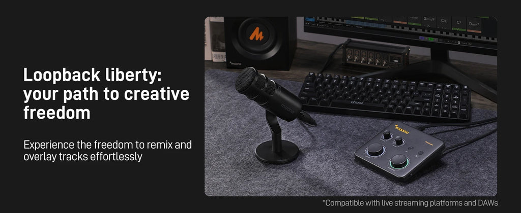 MAONO USB Audio Interface for PC,XLR Input 24-bit/192kHz Routing Software LOOPBACK ASIO for Recording Music,Guitar,DAW PS22 Lite