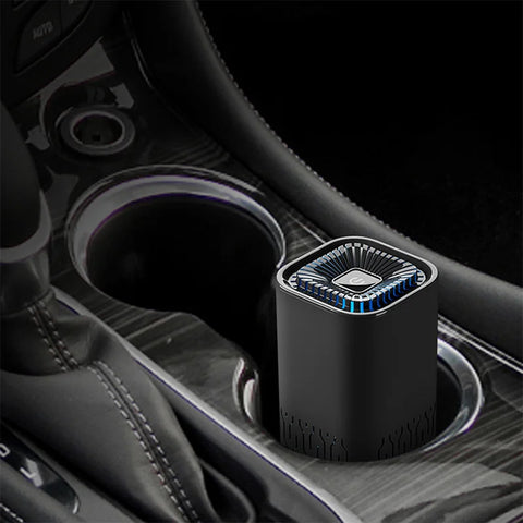 Pro-Ion Car Air Purifier