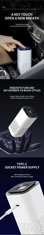 Pro-Ion Car Air Purifier