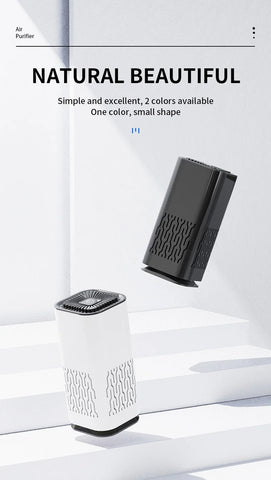 Pro-Ion Car Air Purifier