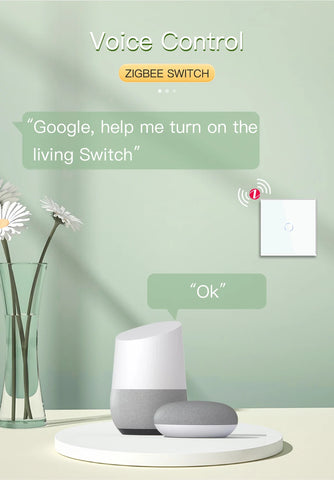 BSEED Zigbee 1/2/3Gang Wall Touch Switches Tuya Smart Life Alexa Control Plus EU Wall Socket USB Type-c Ports No Neutral Version